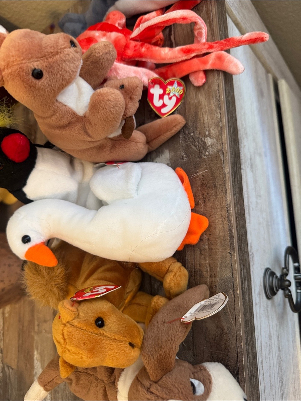 Ty Plush Set - White Swan, Brown Kangaroo, Orange Octopus